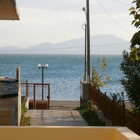 Artemis - Marina Apartments Evia Exteriör bild