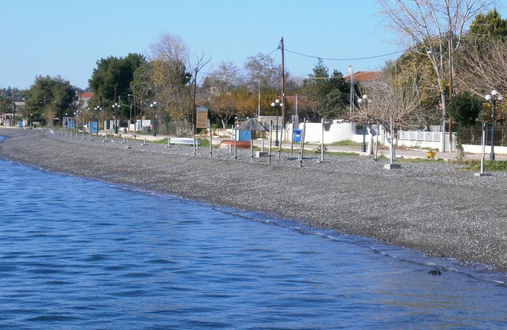 Artemis - Marina Apartments Evia Rum bild