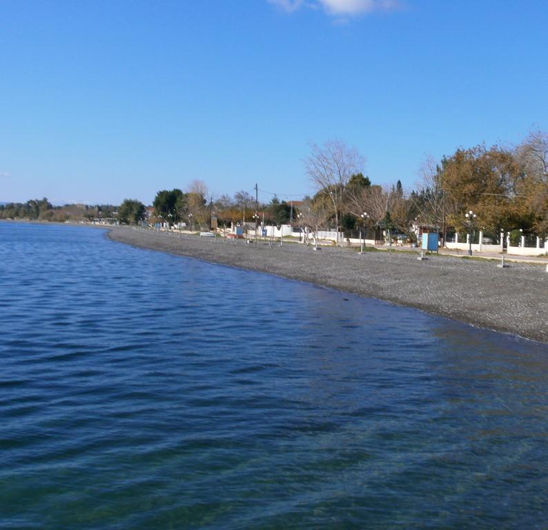 Artemis - Marina Apartments Evia Rum bild