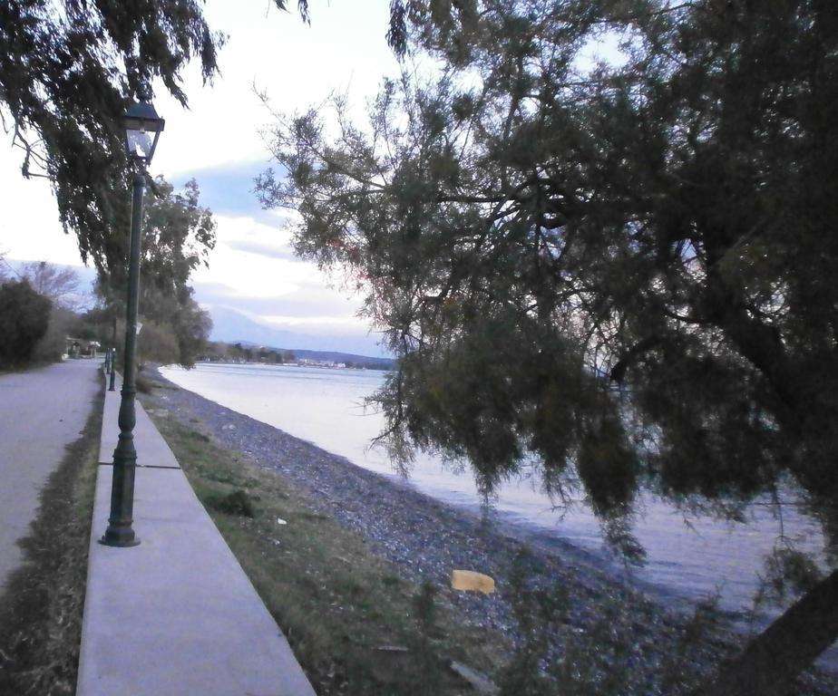 Artemis - Marina Apartments Evia Rum bild