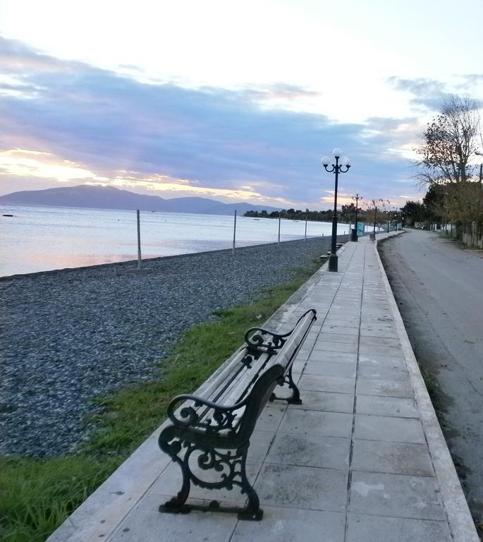 Artemis - Marina Apartments Evia Rum bild