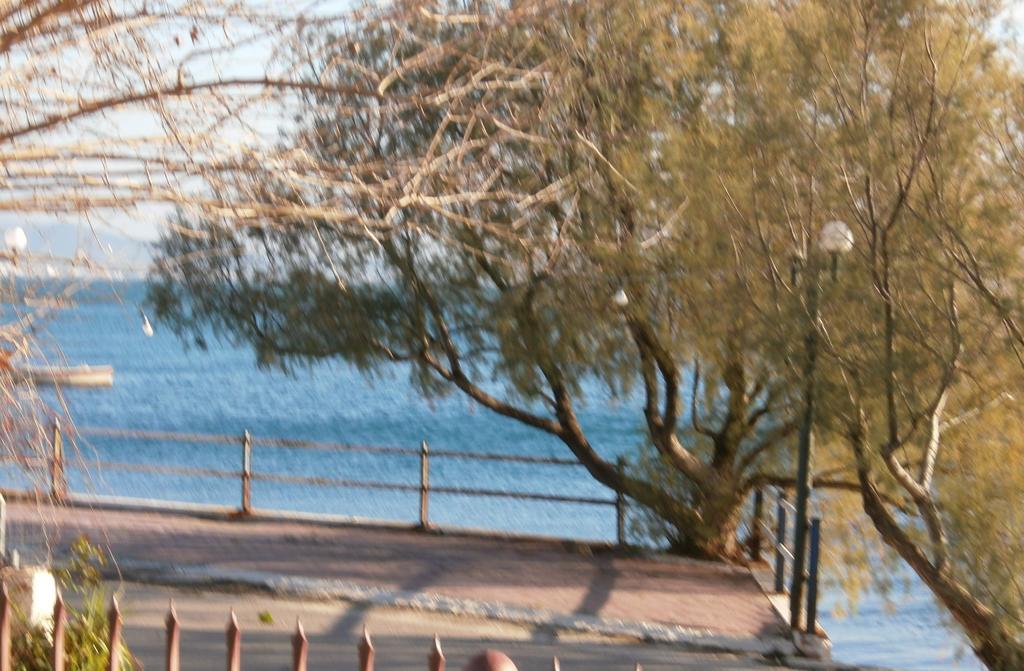 Artemis - Marina Apartments Evia Rum bild
