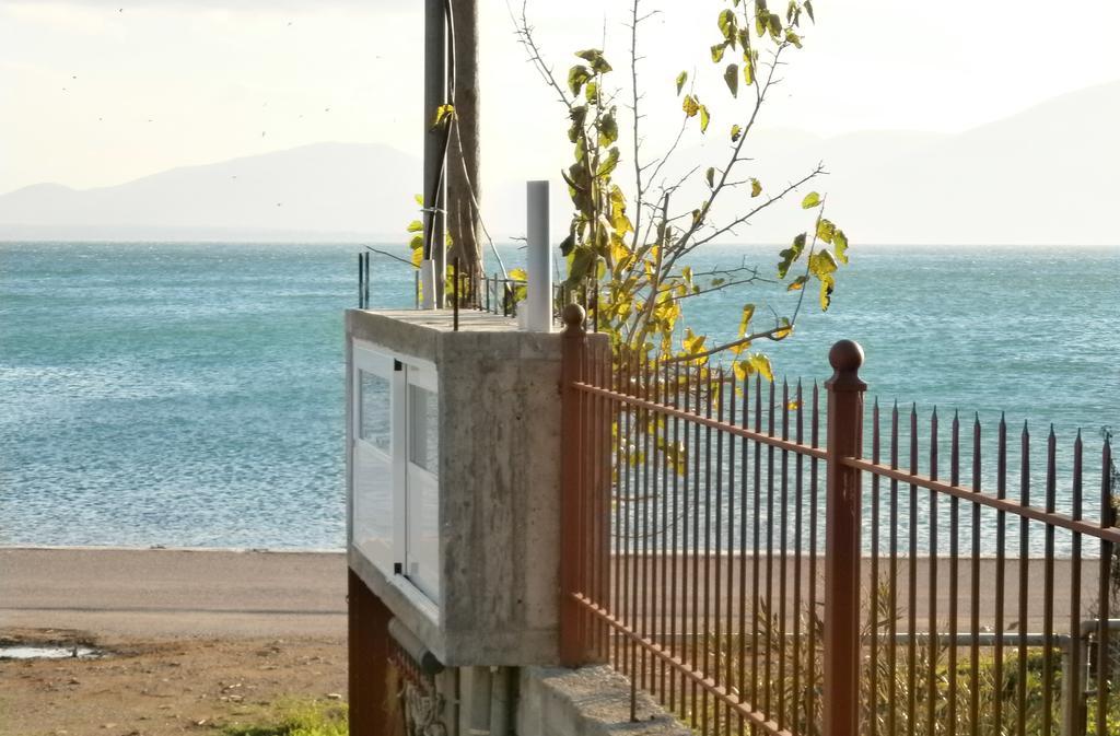 Artemis - Marina Apartments Evia Rum bild