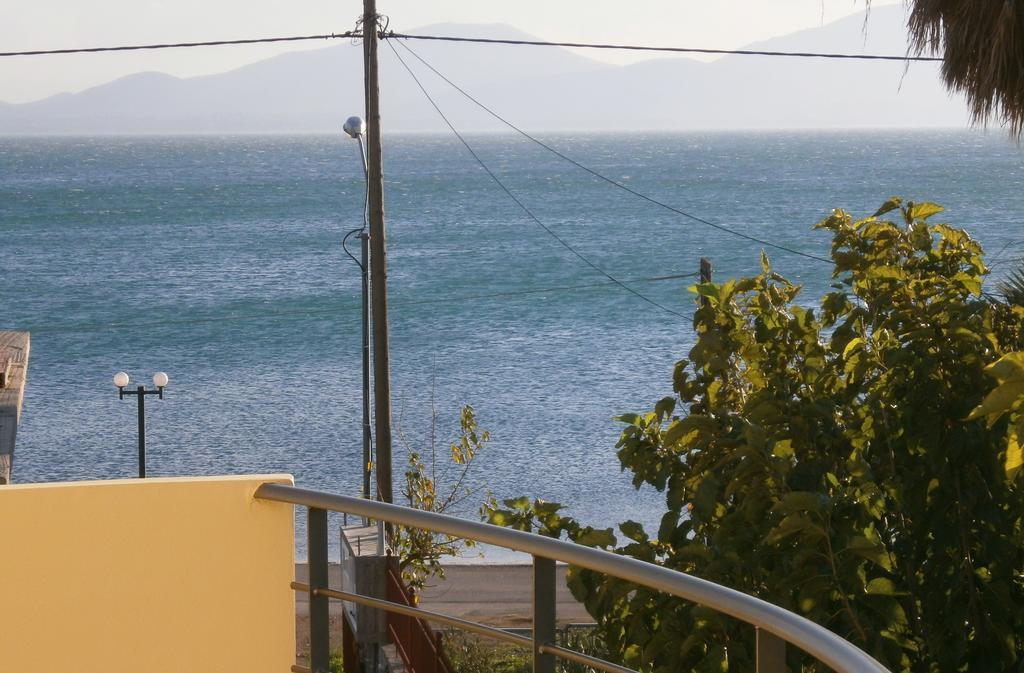 Artemis - Marina Apartments Evia Rum bild